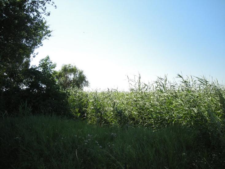 Мар'янське з panoramio.com - Марьянское
