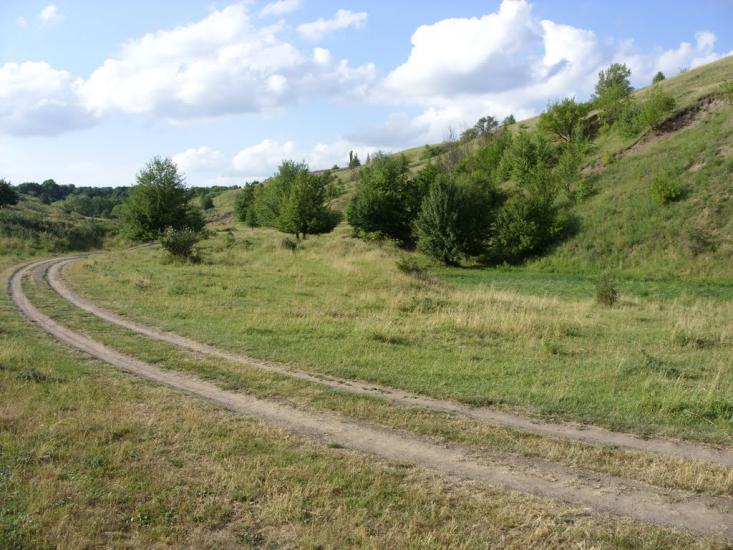 Заможнє з panoramio.com - Zamozhnye