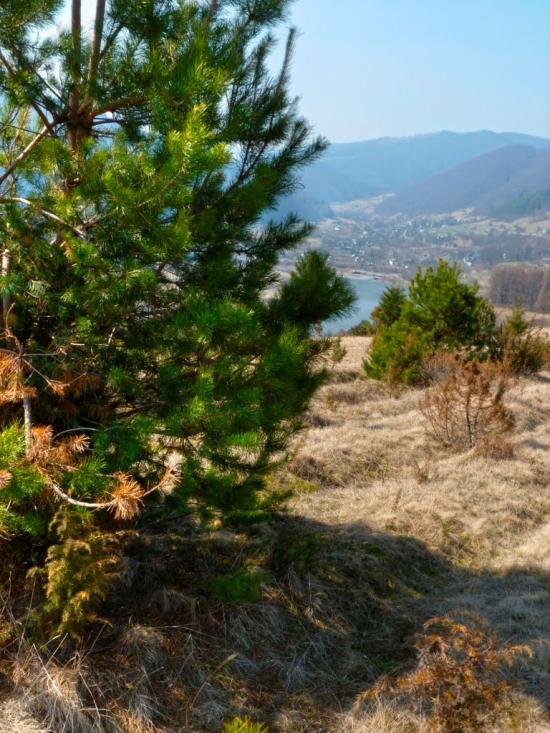 Перепростиня з panoramio.com - Перепростиня
