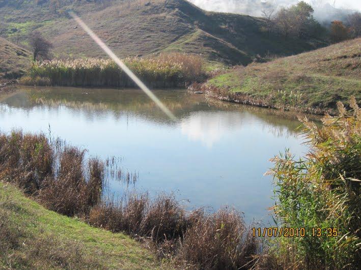 Холодна Балка з panoramio.com - Холодная Балка