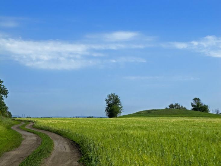 Золота Поляна з panoramio.com - Золотая Поляна