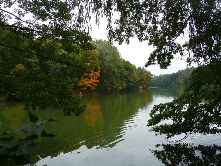 Васьківці з panoramio.com - Васьковцы
