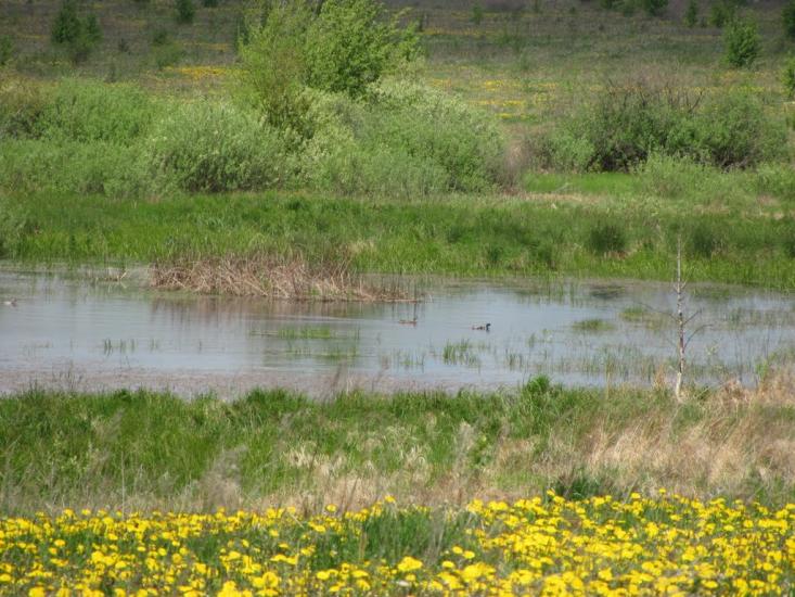 Черемошне з panoramio.com - Черемошне