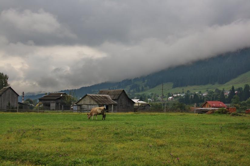 Ільці з panoramio.com - Ильцы