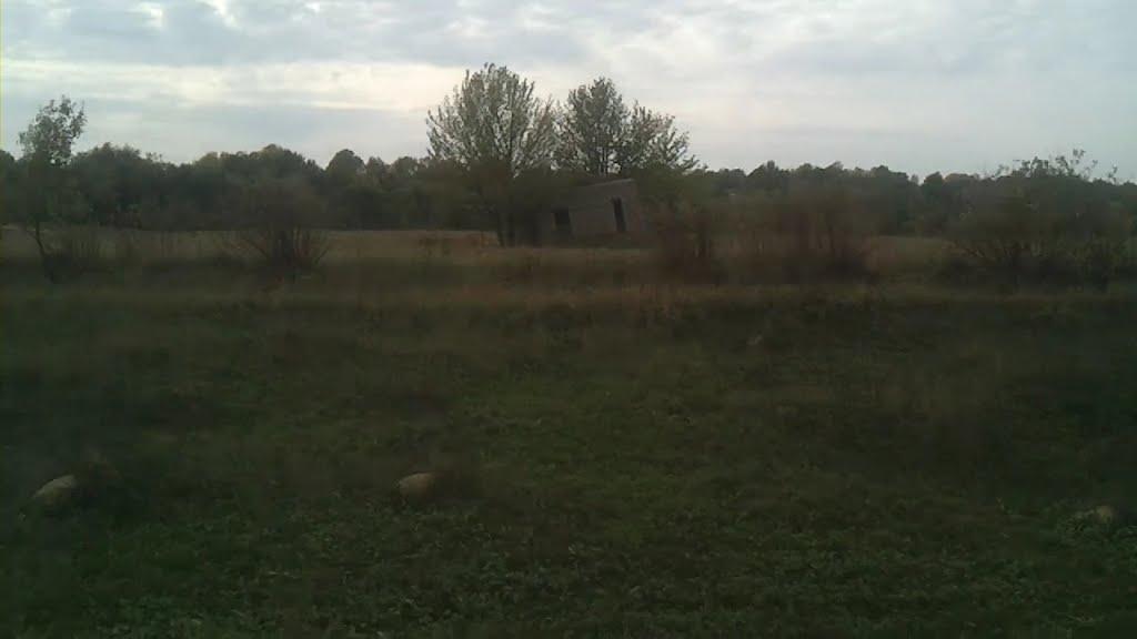 Слобода-Межирівська з panoramio.com - Слобода-Межировская