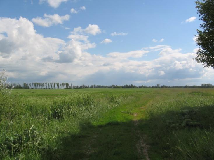 Терехівка з panoramio.com - Тереховка