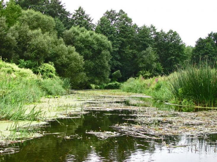 Озерне з panoramio.com - Озерне