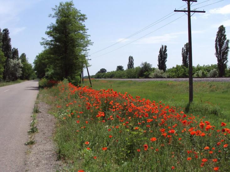 Великі Копані з panoramio.com - Великие Копани