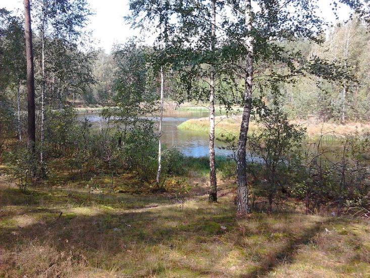 Долина з panoramio.com - Долина