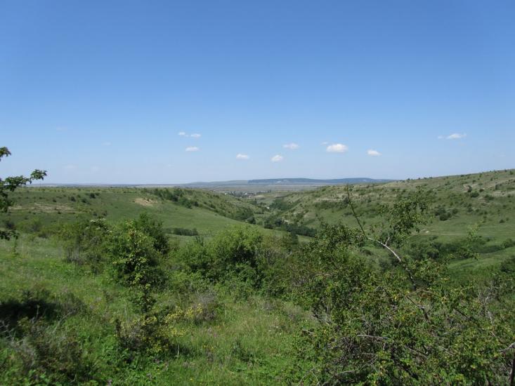 Новокленове з panoramio.com - Новокленово