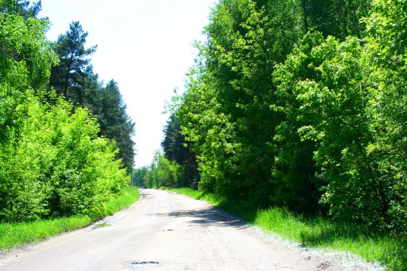 Хорошеве з panoramio.com - Хорошево