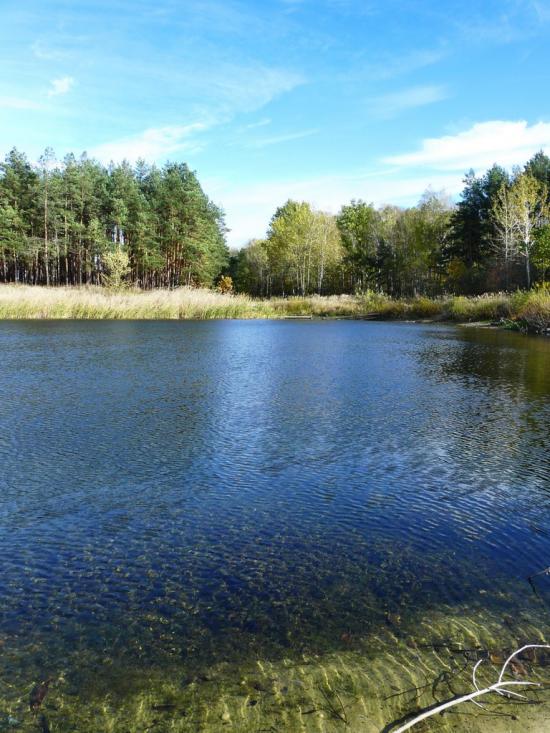Житомир з panoramio.com - Житомир