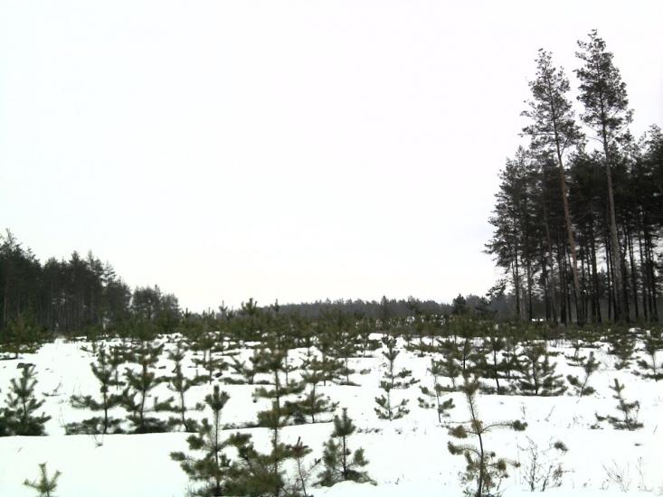 Черемушне з panoramio.com - Черемушное