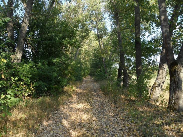 Новофастів з panoramio.com - Новофастів