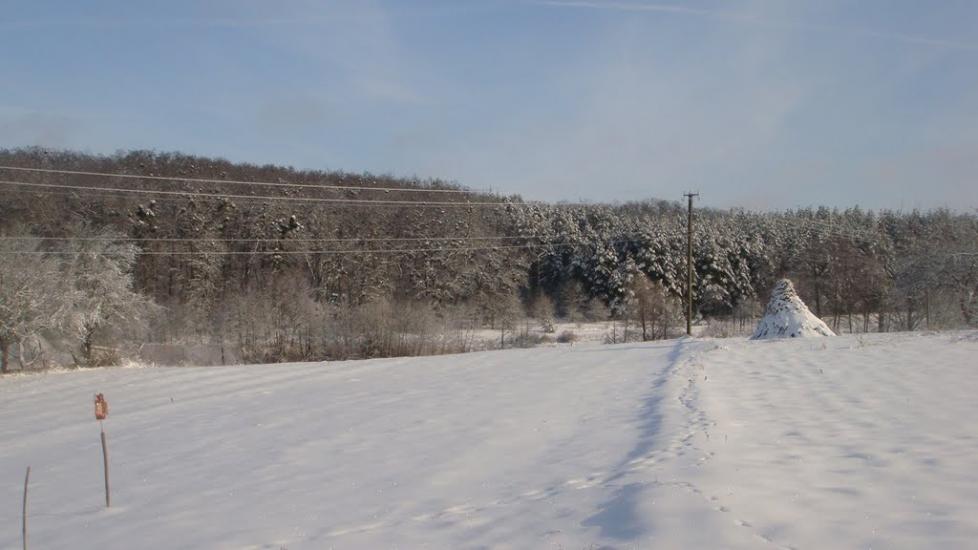 Лубенці з panoramio.com - Лубенцы