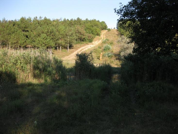 Дачне з panoramio.com - Дачное
