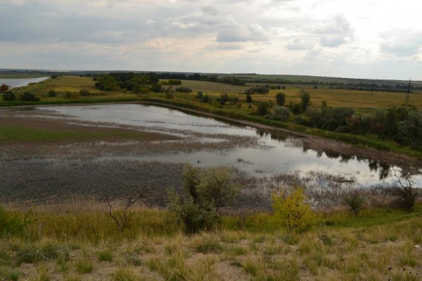 Веселянка з panoramio.com - Веселянка