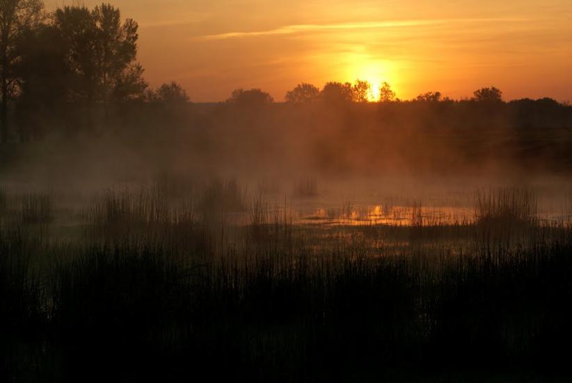 Слов'яносербськ з panoramio.com - Славяносербск