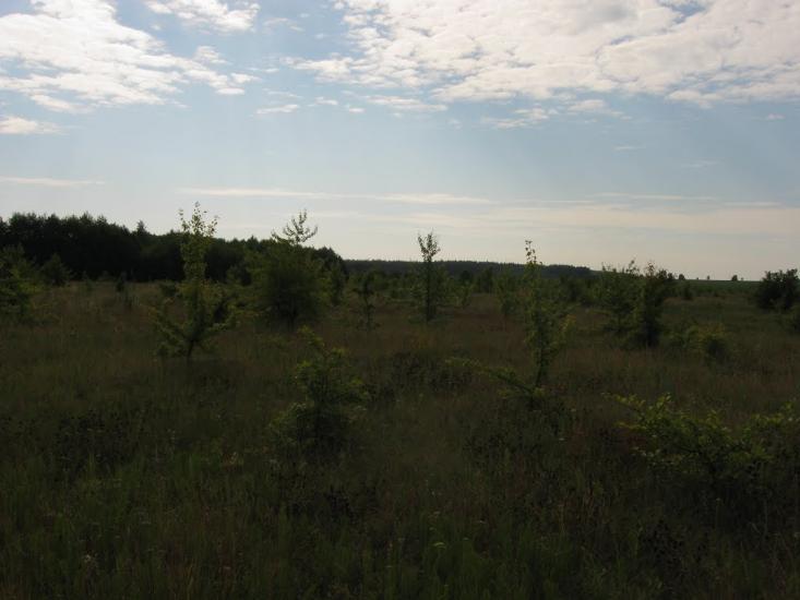 Семирічка з panoramio.com - Семиречка