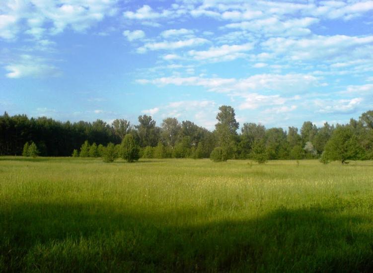 Кардашівка з panoramio.com - Кардашовка