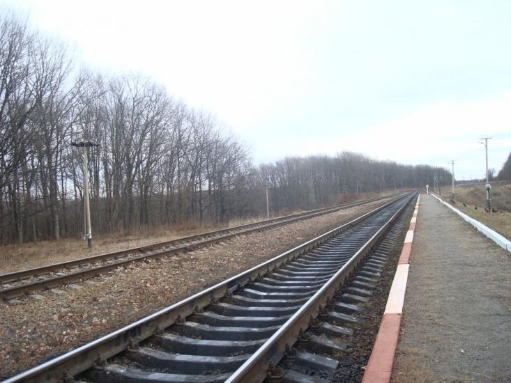 Нижчі Вовківці з panoramio.com - Нижчі Вовківці