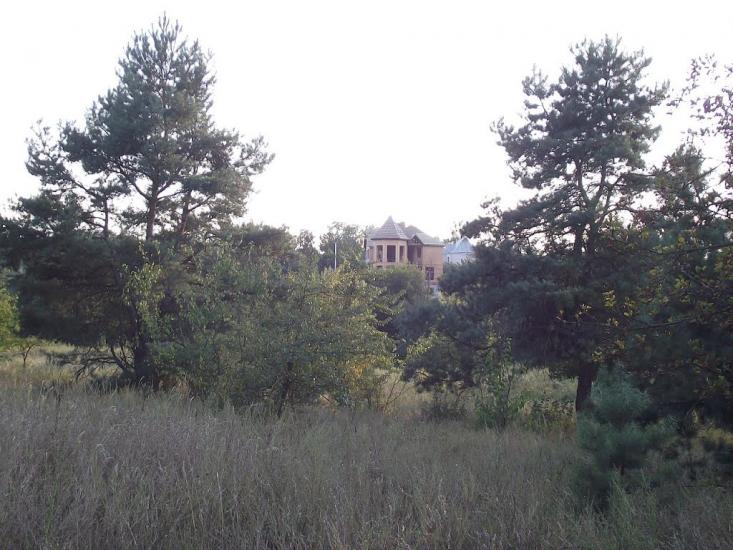 Чмирівка з panoramio.com - Чмыревка