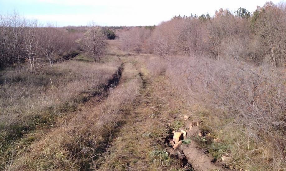 Кам'янка з panoramio.com - Камянка