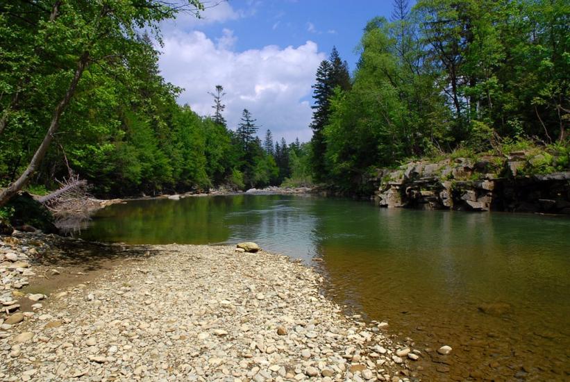 Новий Мізунь з panoramio.com - Novyy Mizun