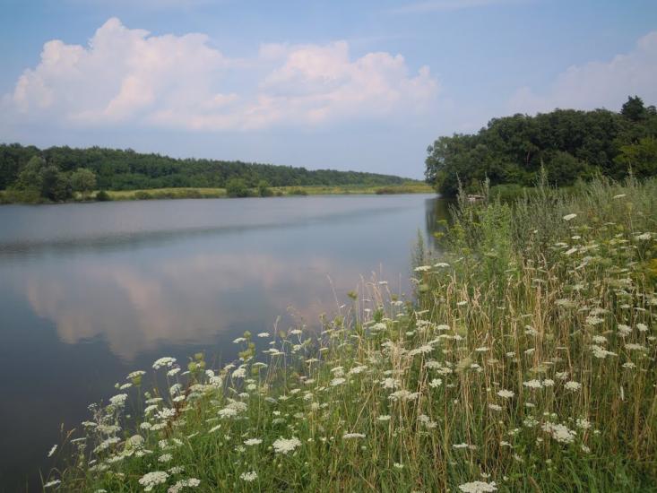 Ізяслав з panoramio.com - Izyaslav