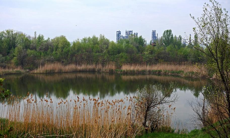Новгородське з panoramio.com - Новгородське