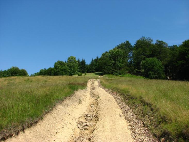 Красна з panoramio.com - Krasna