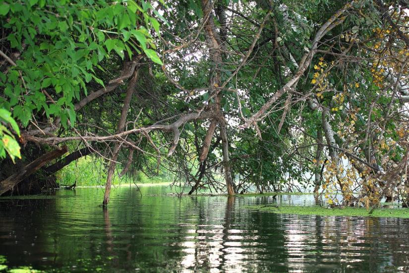 Черемушне з panoramio.com - Cheremushne