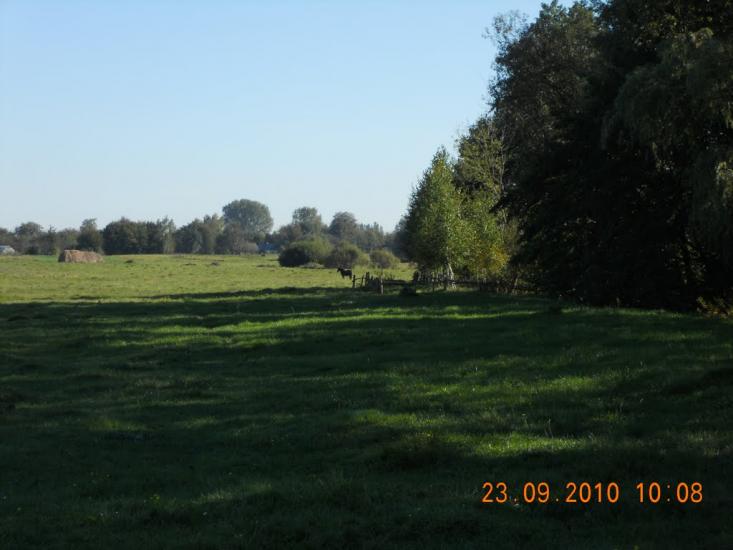 Головлі з panoramio.com - Головли