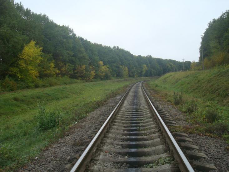 Вищі Вовківці з panoramio.com - Высшие Волковцы