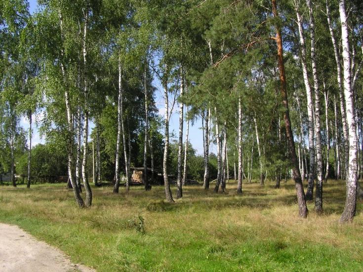 Нова Ушиця з panoramio.com - Новая Ушица