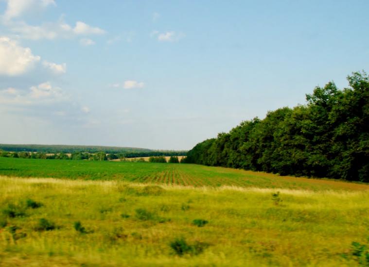 Звенигородка з panoramio.com - Звенигородка