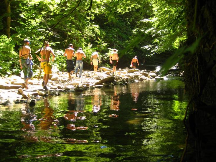 Кричка з panoramio.com - Кричка