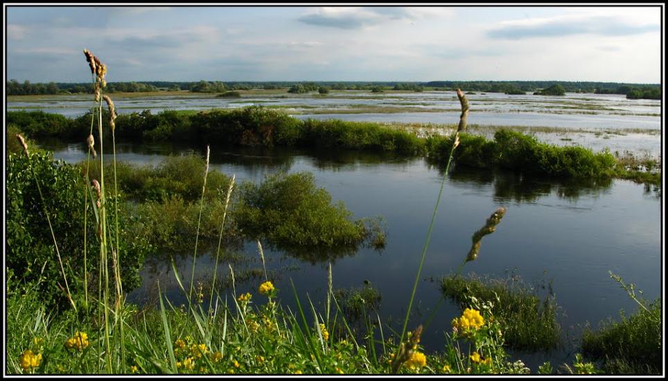 Литовеж з panoramio.com - Литовеж