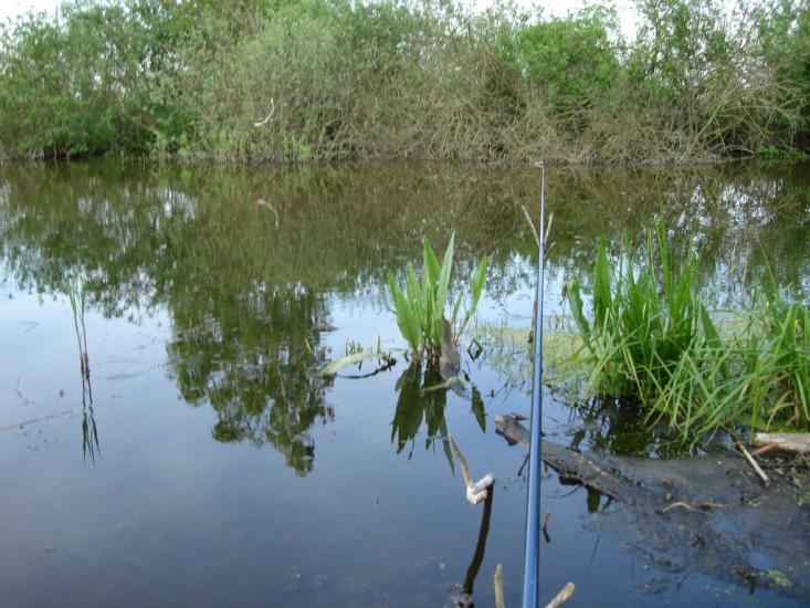 Старосілля з panoramio.com - Староселье