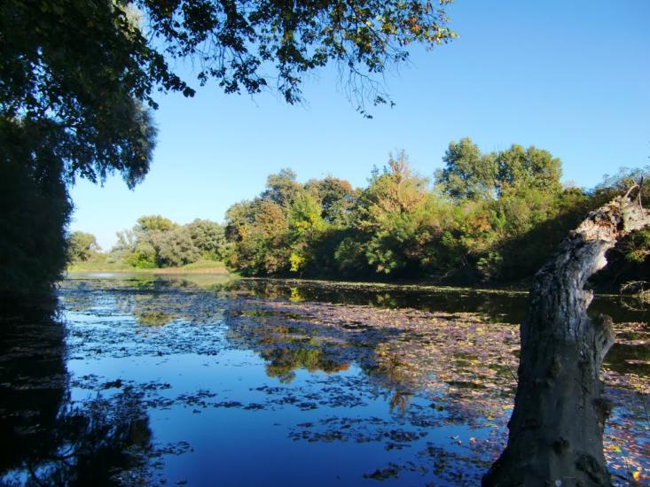 Самусіївка з panoramio.com - Самусевка