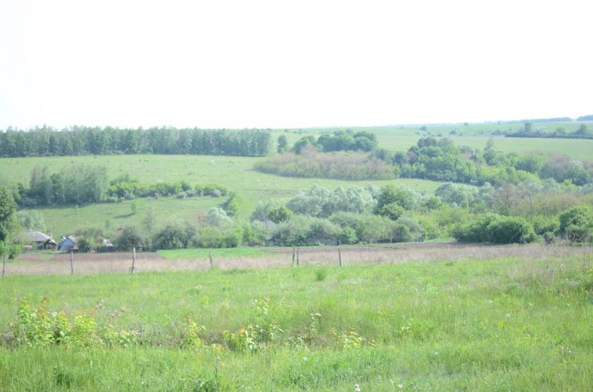 Замірці з panoramio.com - Замірці