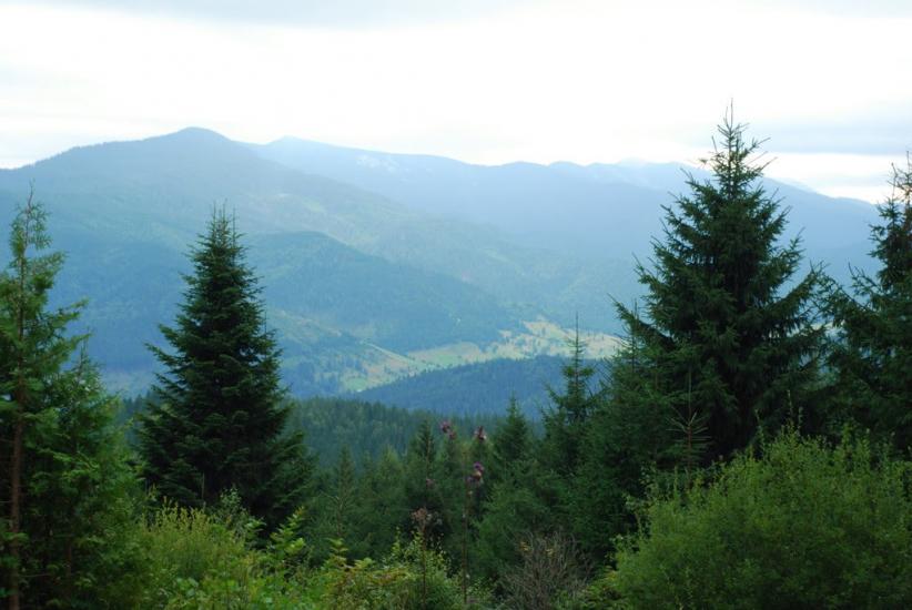 Згари з panoramio.com - Згари