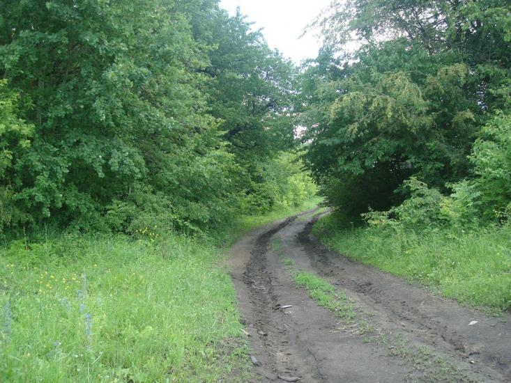 Грузевиця з panoramio.com - Грузевица