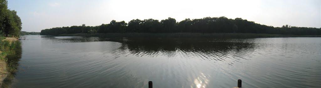 Нижнє з panoramio.com - Nyzhnye