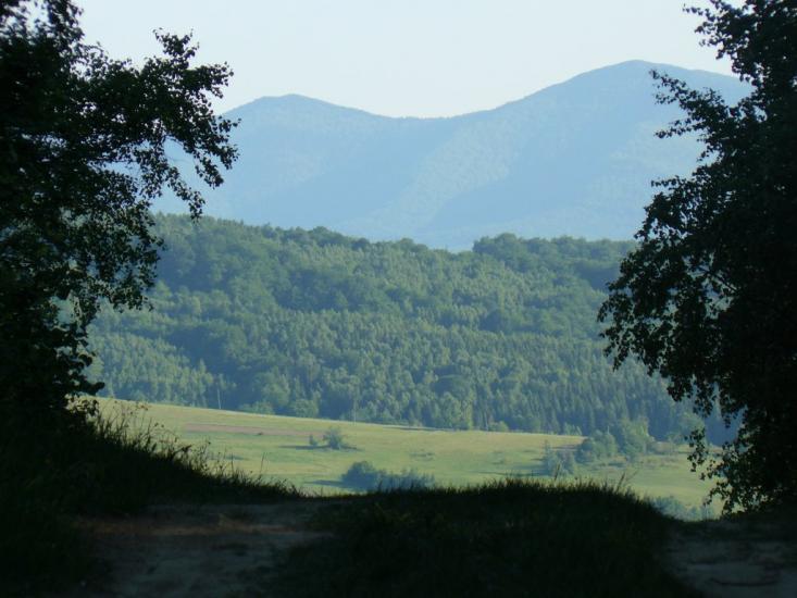 Орів з panoramio.com - Оров