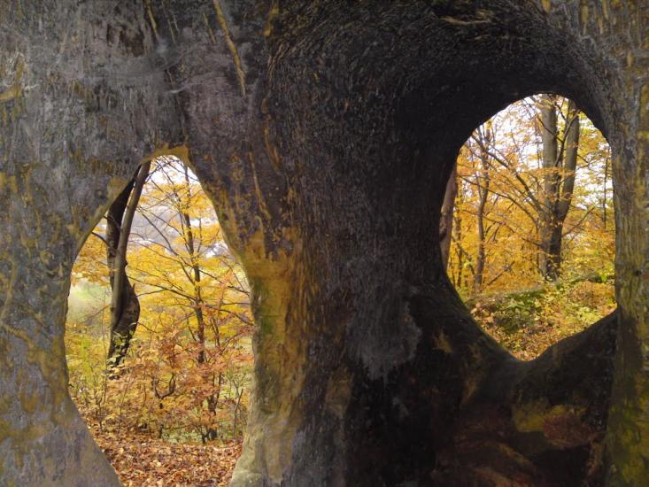 Розгірче з panoramio.com - Розгірче