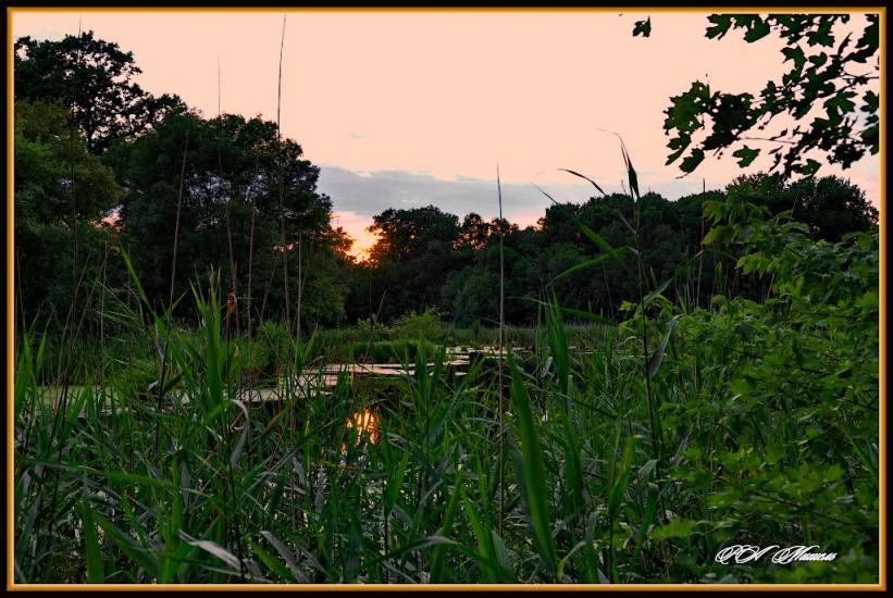 Дронівка з panoramio.com - Dronivka
