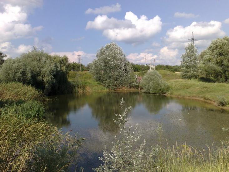 Нова Березівка з panoramio.com - Нова Березівка