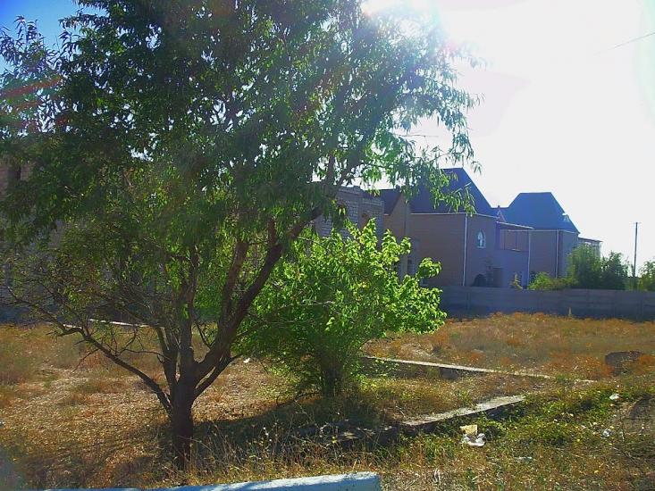 Розсадне з panoramio.com - Rozsadne