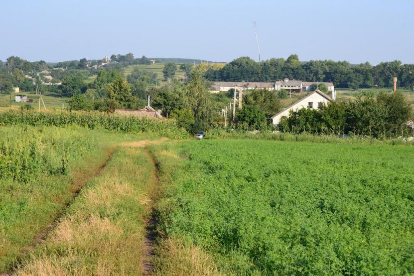 Грабовське з panoramio.com - Грабовское